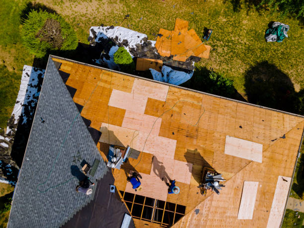 Best Roof Maintenance Services  in Hayti, PA